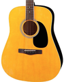 Blues Creek Guitars
